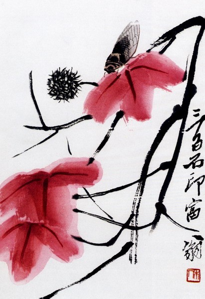 上海饼干哪个牌子好（上海咸饼干哪个牌子最好）