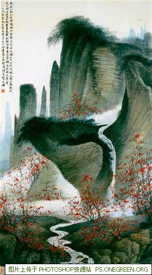 上海除虫猫咪哪里好（上海收容猫哪里最好）
