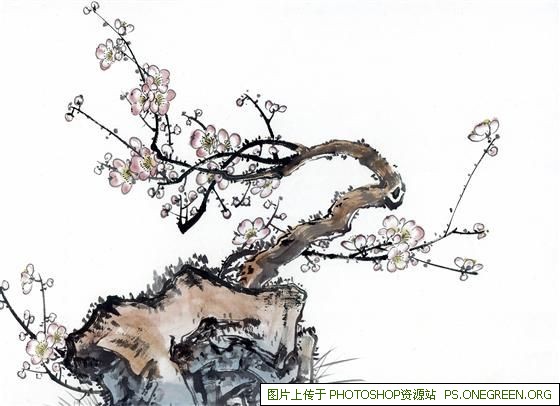 上海陈醋哪个好（重庆陈醋哪个牌子好）
