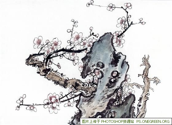 上海鞍山哪个房子最好（鞍山哪个区的房子最便宜）