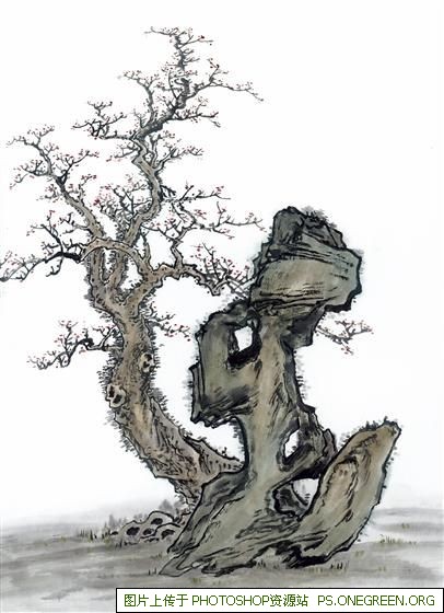 上海车牌是哪个省份的（上海车牌是哪个城市的）