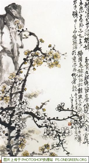 上海大牌车型哪个最贵（上海十大稀有车型）