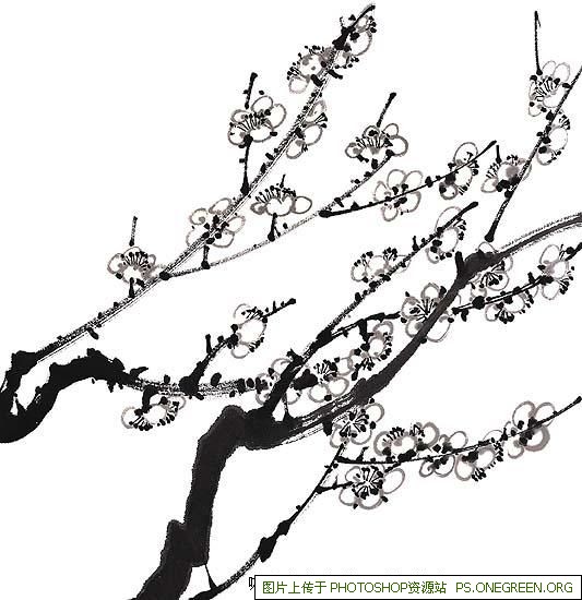 上海茶山是哪个区（东莞茶山镇是哪个区）