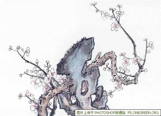 临沂和上海哪个面积大（临沂和上海哪个城市大）