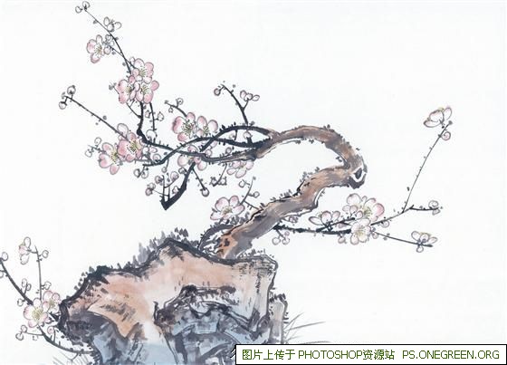上海鼻修复哪个好（上海鼻修复哪个大夫做的好）
