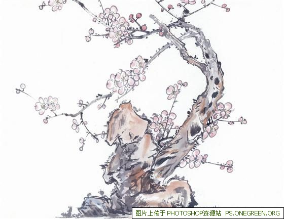 上海大行有哪些（上海大行哪里便宜）