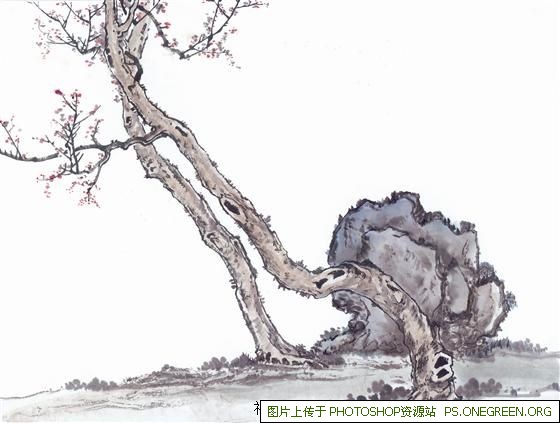 上海出发东航国航选哪个（从上海出发的国航都飞哪里）