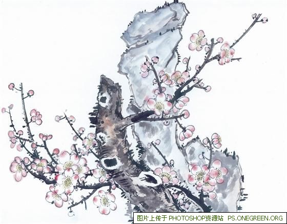 上海宝颜修护套哪里卖（上海修复护理套盒哪里有）