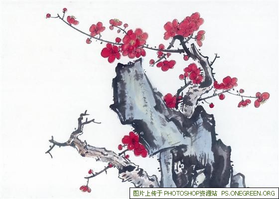 上海除虫公司哪个好（上海除虫公司哪家最好）