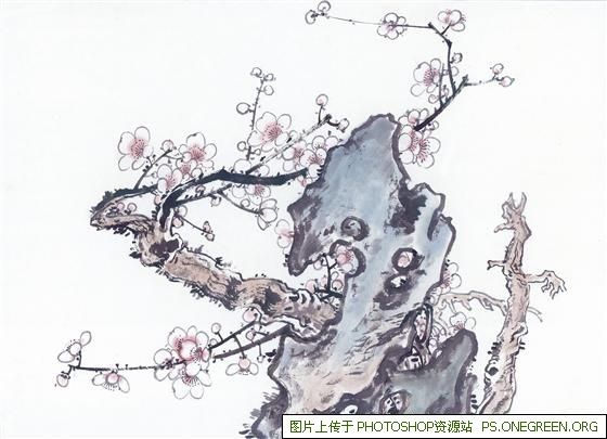 上海脖子扭了去哪个医院（上海脖子扭到了去哪个医院）