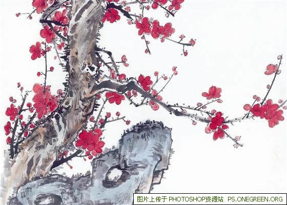 上海鞍山新村上哪个小学（上海西新村划片小学）