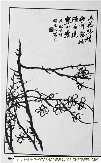 上海奥迪哪个店最好（上海奥迪哪里买最好）