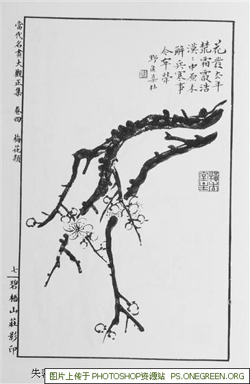 上海饼干哪个牌子好（上海咸饼干哪个牌子最好）