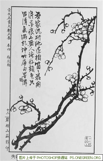 上海餐饮哪个地方比较多（上海餐饮哪个地方人开的多）