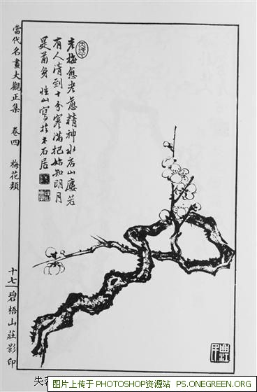 上海宝力哪个小区好（上海万源城哪个小区最值得买）