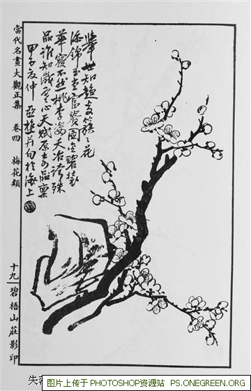 上海大平方酒店有哪些（上海高档大酒店有哪些）
