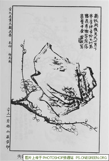 上海宝山哪个镇小姐多（上海宝山小姐姐多的村子）