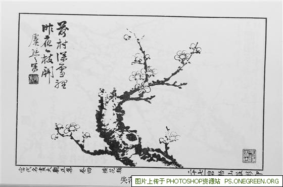 上海博物馆哪里（上海的博物馆哪里好）