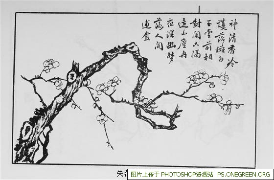 上海吃素有哪些餐厅（上海吃素食很有名的餐厅）
