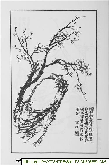 上海opo组织在哪里（opo组织是在哪个城市）