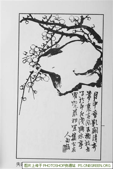 上海昌明属于哪个区（昌明属于哪个区）