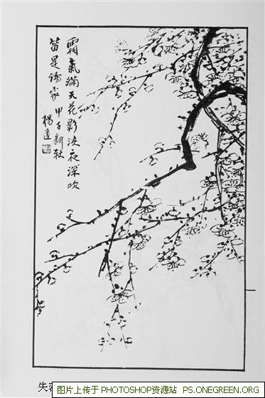 上海宝信 哪个区（上海宝诚和上海宝信哪个好）