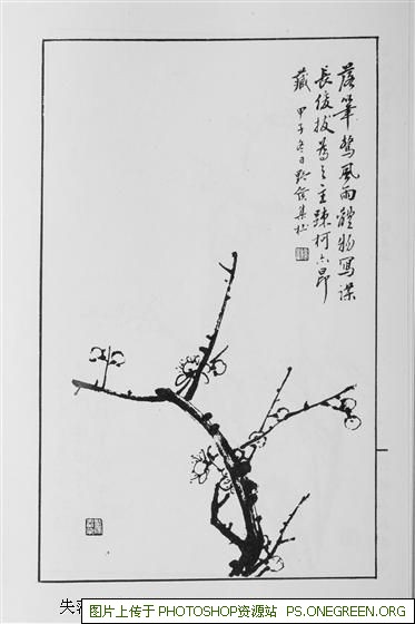 上海vs广州哪个经济强（上海vs广州哪个综合实力最强）