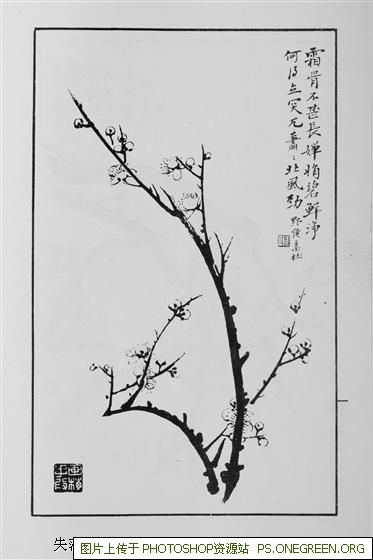 上海鼻炎去哪个医院好些（上海鼻炎去哪个医院治最好）