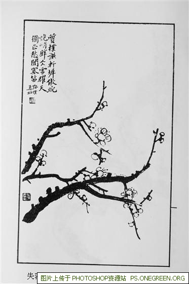 上海鲍师傅哪个好吃（上海鲍酥生和鲍师傅哪个好吃）