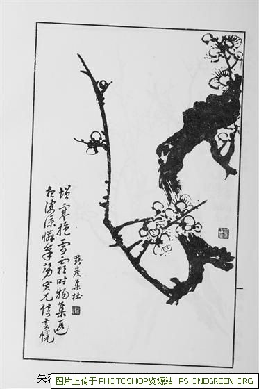 上海鼻炎哪个医院最好（上海鼻炎去哪个医院治最好）