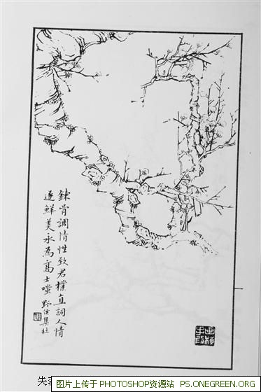 上海餐饮街哪个地方多（上海哪个区吃饭的地方多）