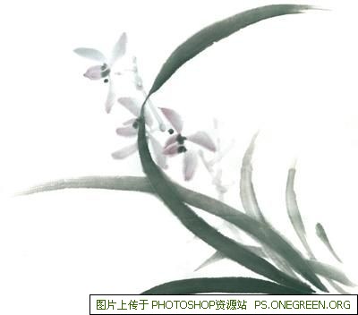 上海崇贤哪个楼盘好（崇贤哪几个楼盘比较好）