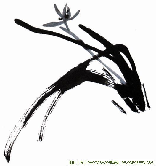上海茶苑在哪个区（茶苑在哪个地方）