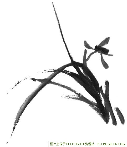 上海财经大学 哪个专业（上海财经大学哪个专业厉害）