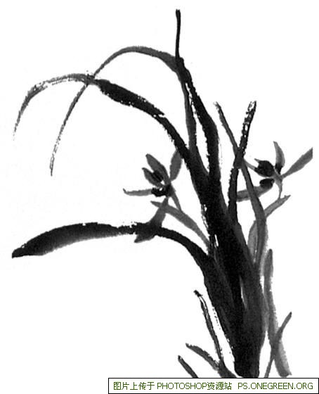 上海比亚迪厂在哪个区（上海比亚迪厂区在哪）