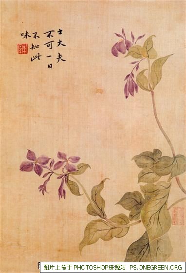上海宝山靠近哪个城市（上海宝山靠近哪个区）