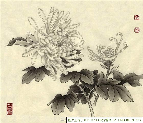 上海宝山长宁哪个区好玩（上海宝山哪个地方最好玩）